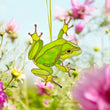 Frog stained resin window hangings
