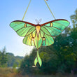 Luna moth stained resin window hangings
