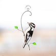 Downy woodpecker stained glass window hangings