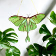 Luna moth stained resin window hangings