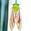 Cicada stained resin window hangings