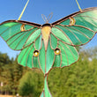 Luna moth stained resin window hangings