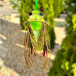 Cicada stained resin window hangings