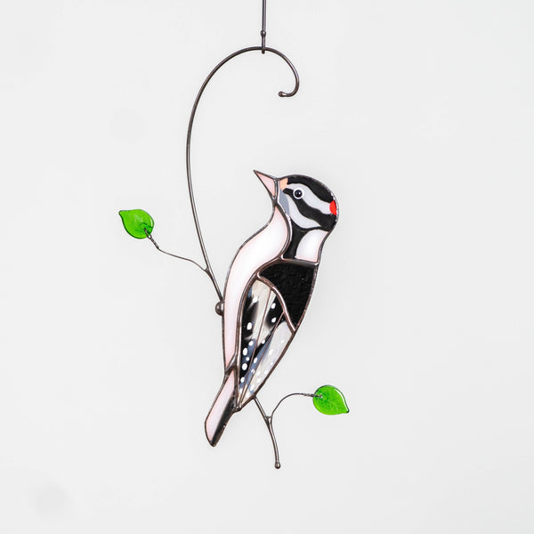 Downy woodpecker stained glass window hangings