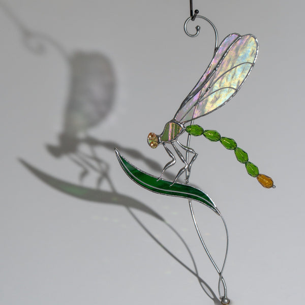 Flydragon insect stained glass window hangings