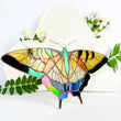 Yellow swallowtail butterfly stained resin window hangings