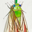 Cicada stained resin window hangings