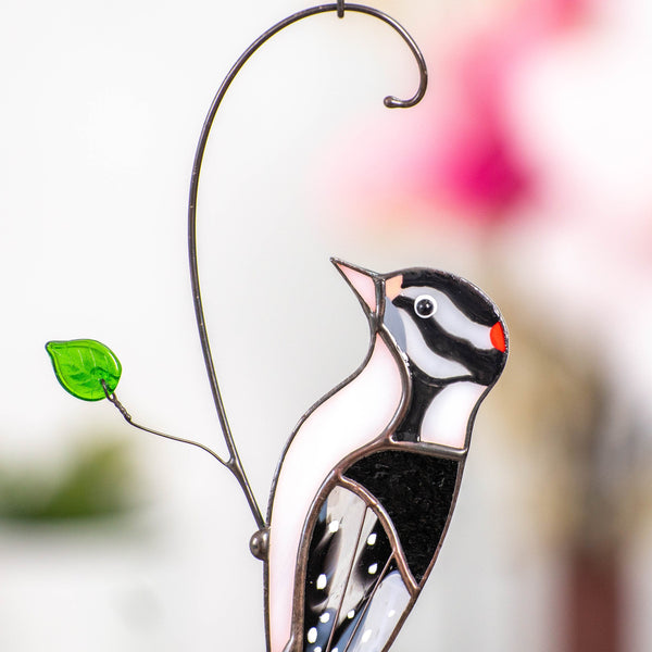 Downy woodpecker stained glass window hangings