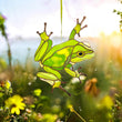 Frog stained resin window hangings