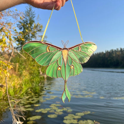 Luna moth stained resin window hangings