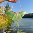 Luna moth stained resin window hangings