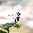 Downy woodpecker stained glass window hangings