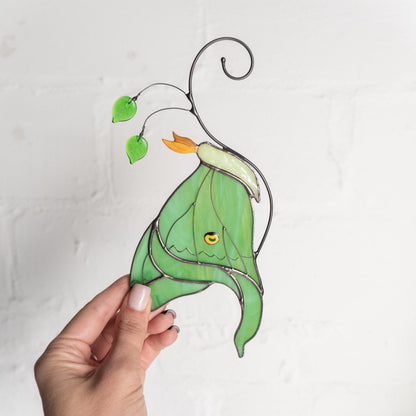 Butterly memorial stained glass window hangings