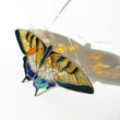 Yellow swallowtail butterfly stained resin window hangings