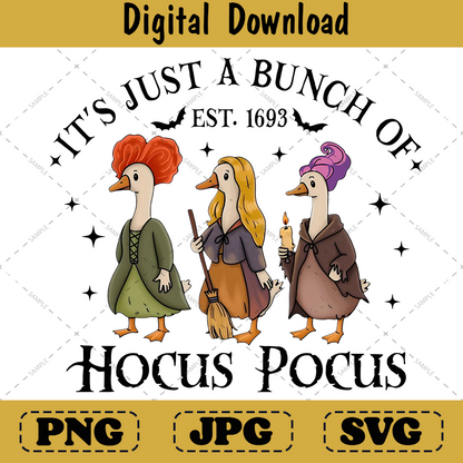 Silly Goose Hocus Pocus Retro Halloween png Sublimation Design